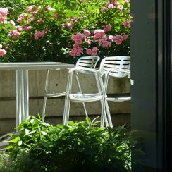 oh! quel beau jardin - Terrasse publique - Genève