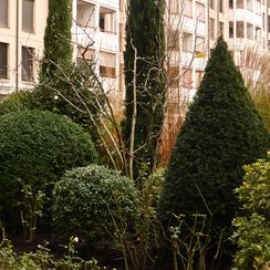 Oh! Quel beau jardin - Un jardin en hiver ! - Genève