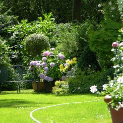 oh! quel beau jardin - Jardin à l'anglaise - Versoix