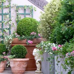 oh! quel beau jardin - Terrasse privée -Genève